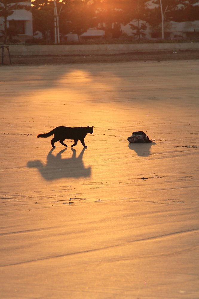 все оттенки черного