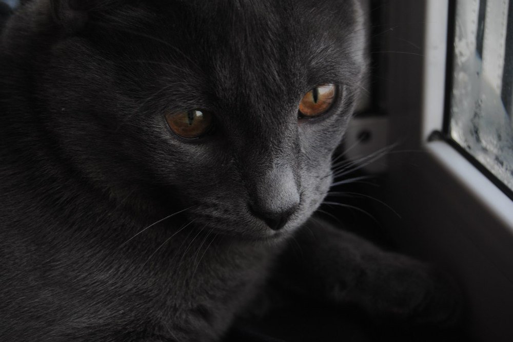 Photograph by Екатерина Гущина