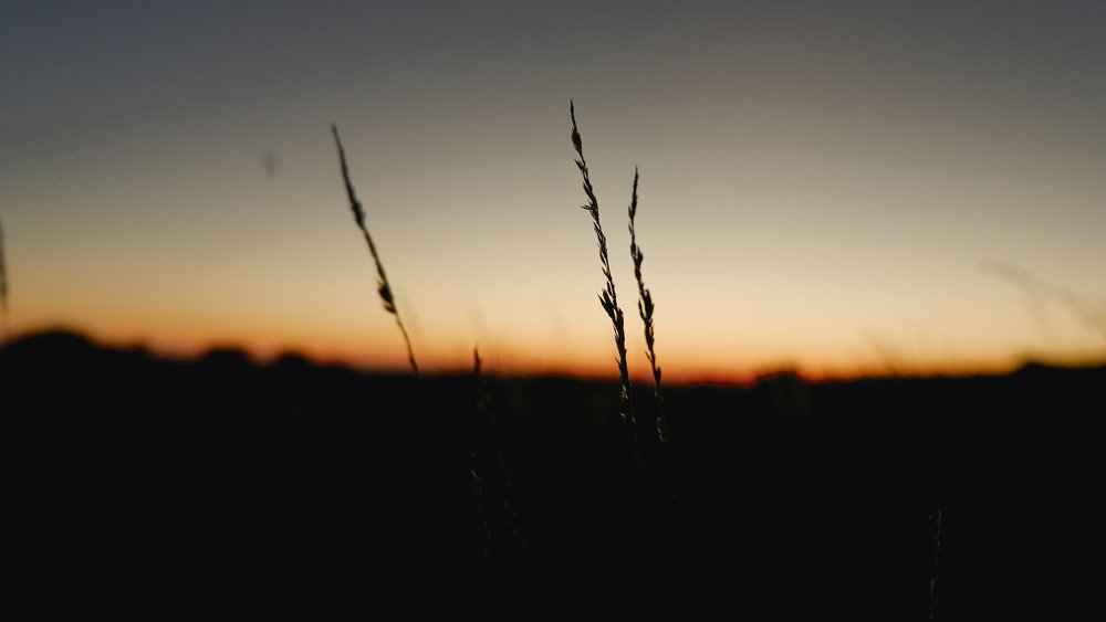 between light and dark