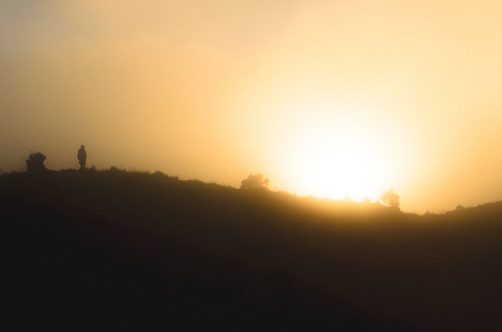 Into The Sun