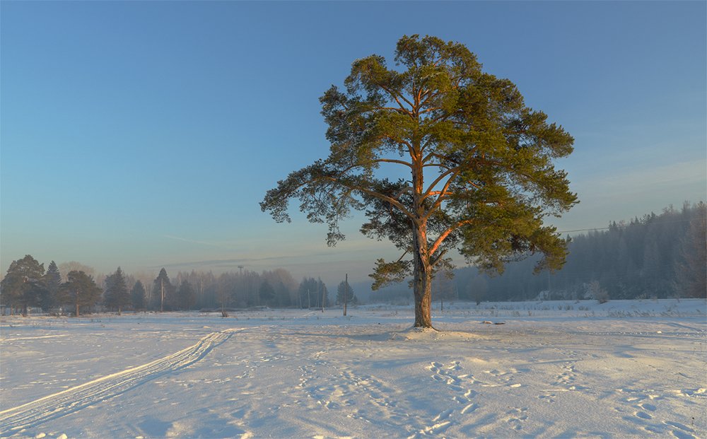 Photograph by Воинков Виктор