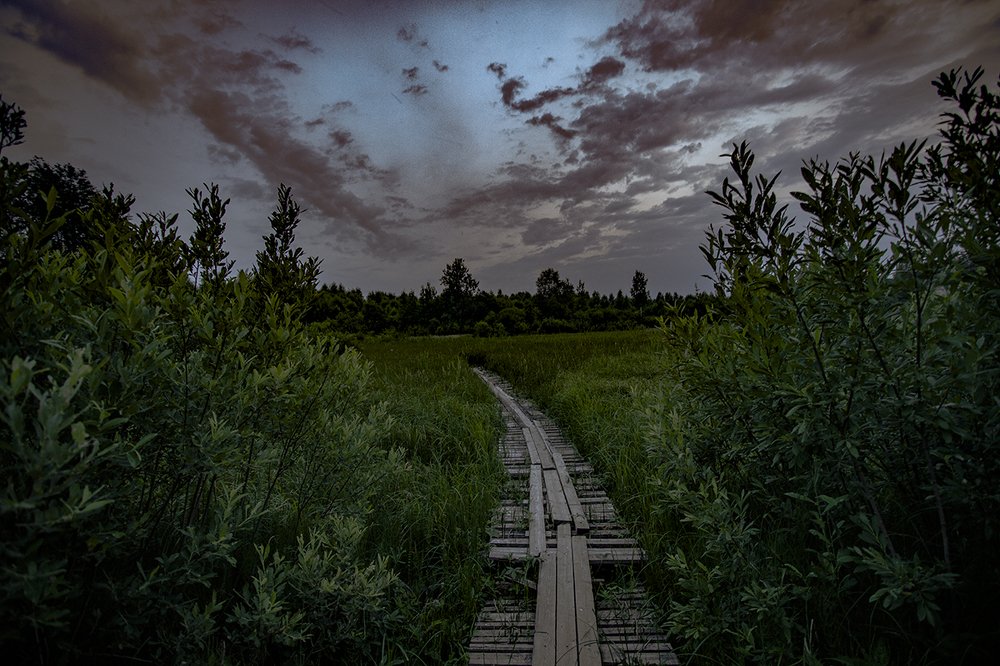 Photograph by Евгений Барзенков