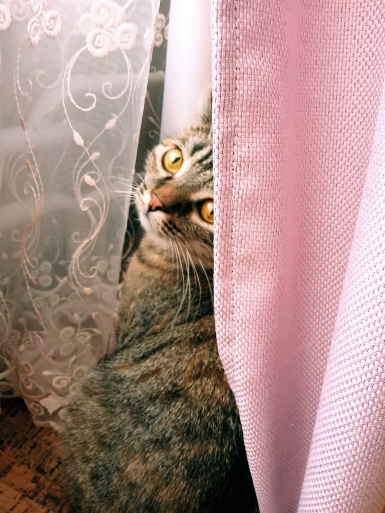 Photograph by антон