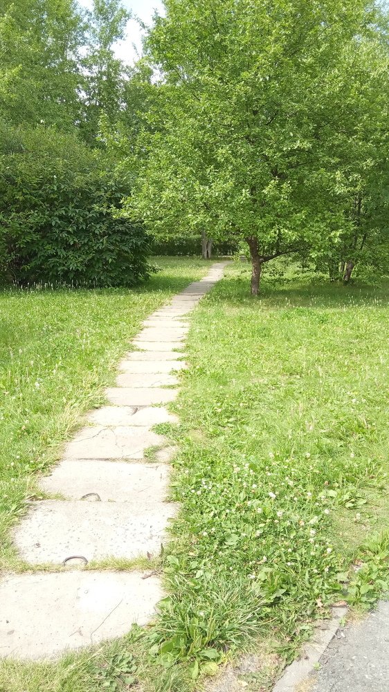 Photograph by антон