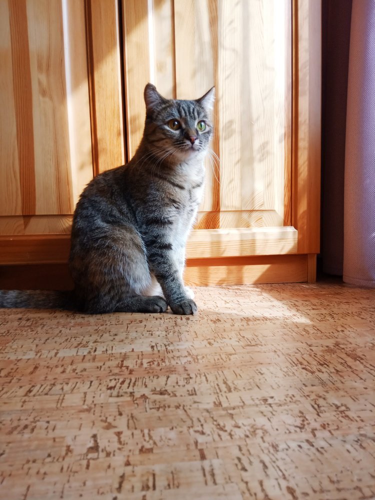 Photograph by антон