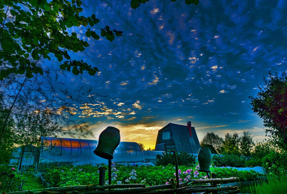 вечер на даче.