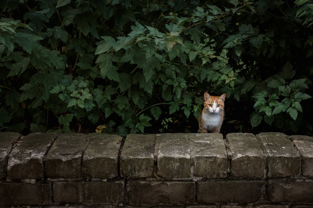 После дождя