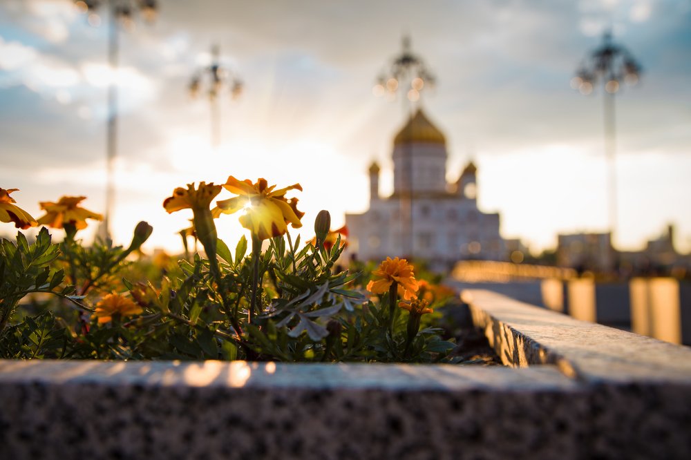 Закат в цветах