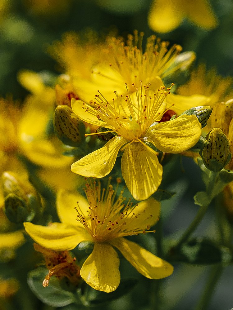 Photograph by Евгений Барзенков