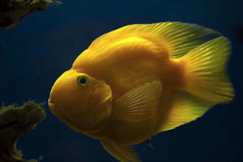 Photograph by Евгений Барзенков