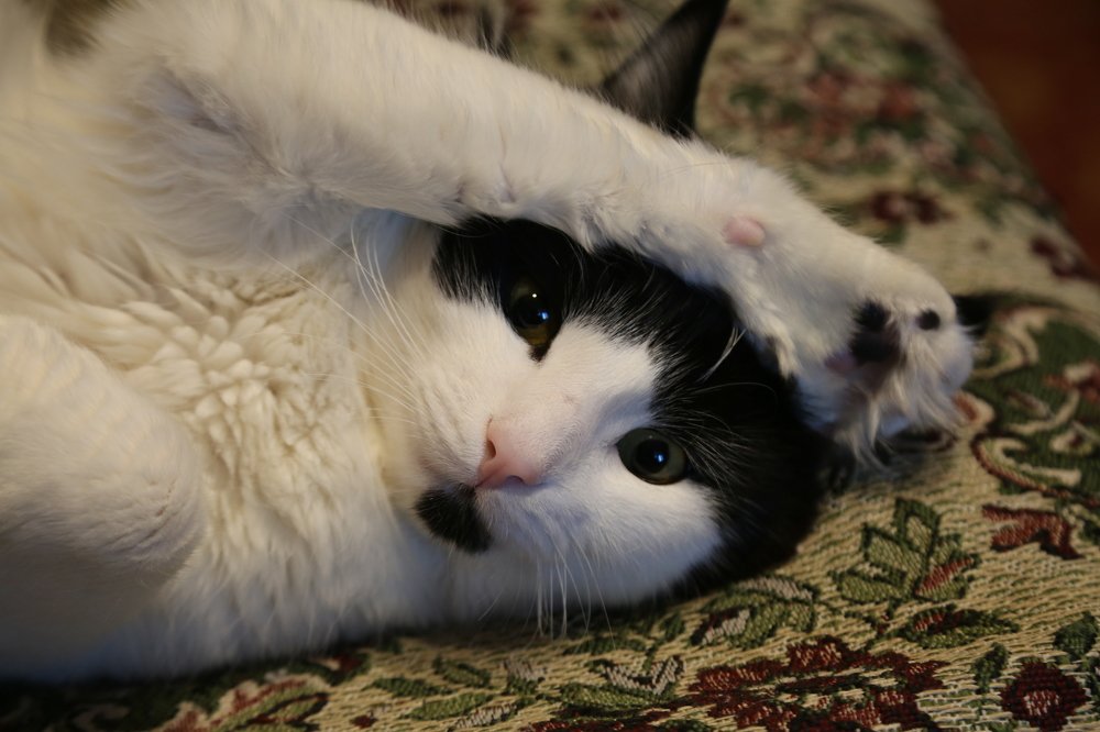 Photograph by Olga Egorova