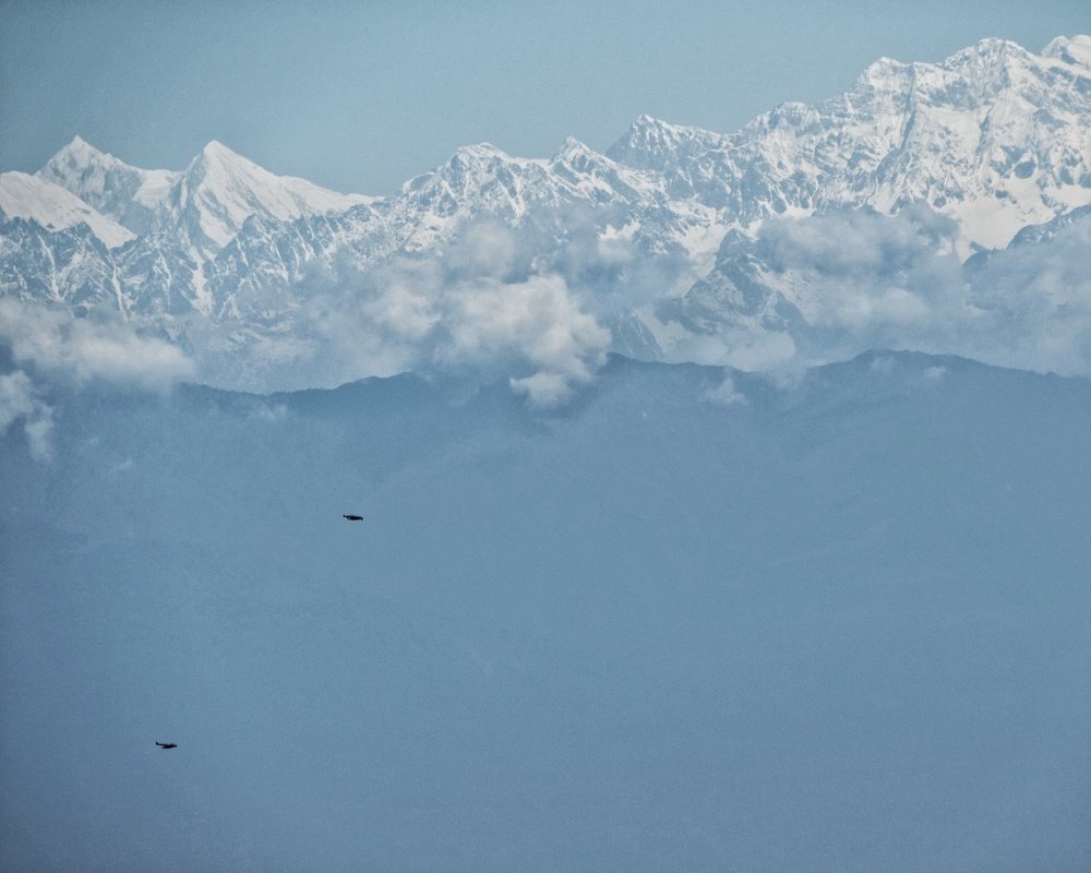 The Himalayan Birds