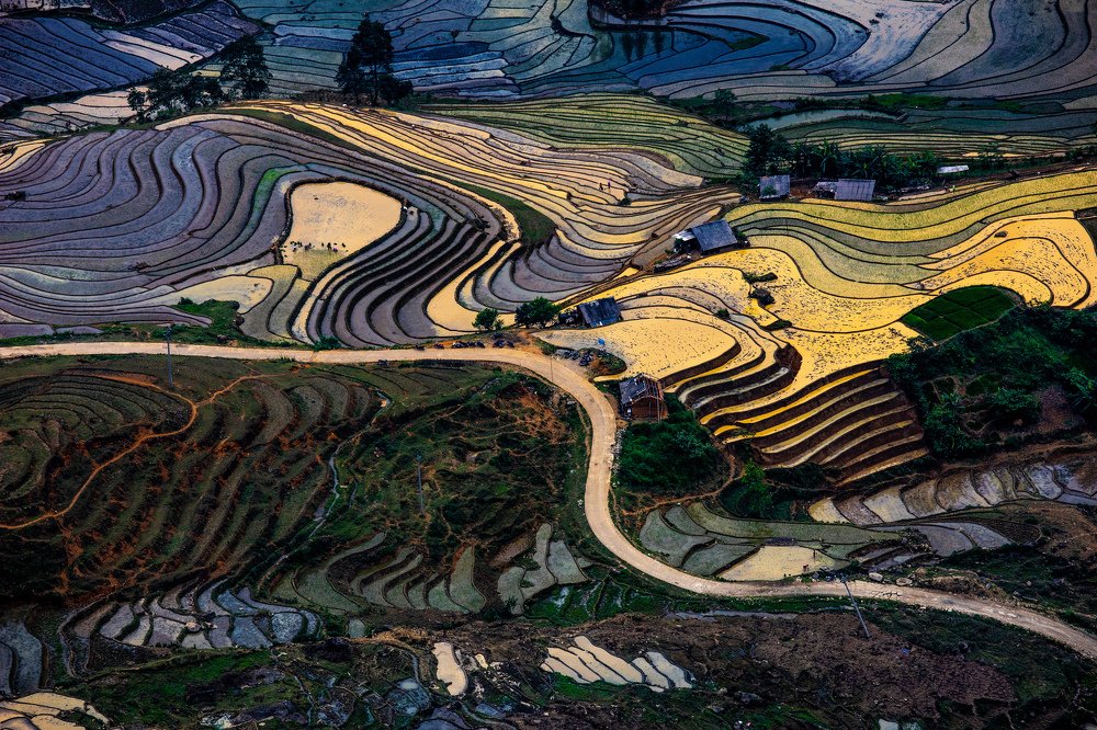 The Terrace (agriculture)