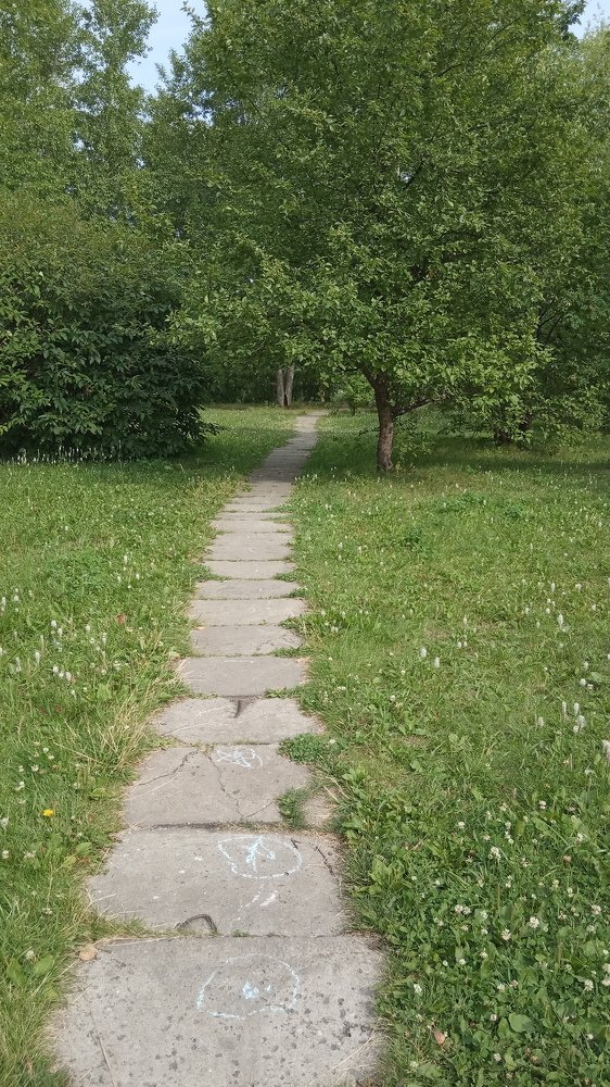 Photograph by антон