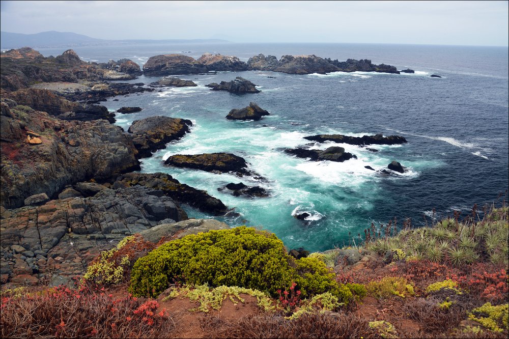 Чили, на берегу Тихого океана