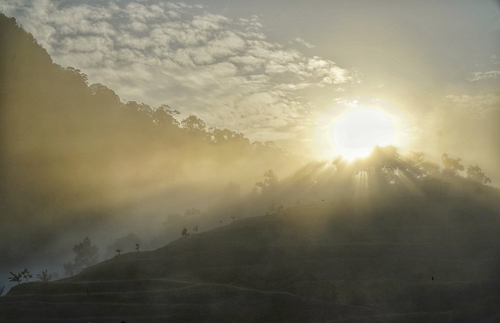 The sunshine ! The sunrise !