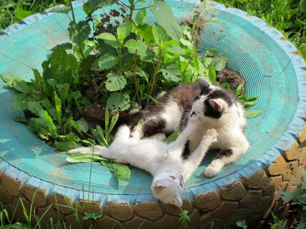 Мать и дитя