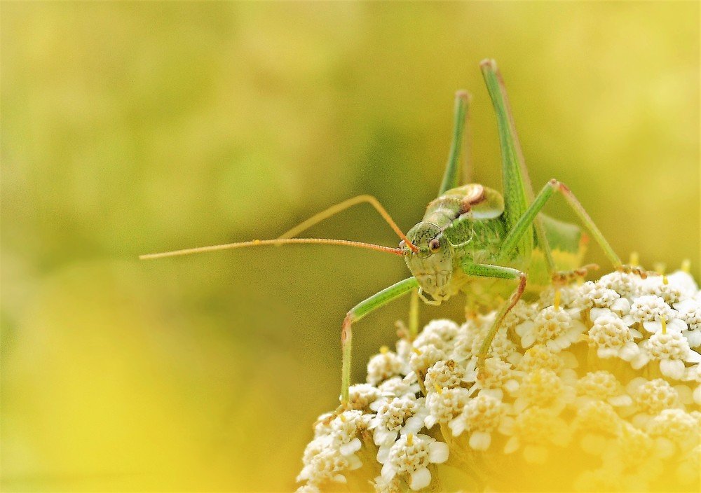 Photograph by Teodora Sarbinska