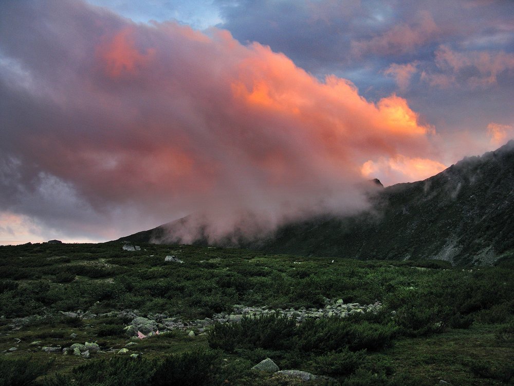 Photograph by Ирина Щеглова