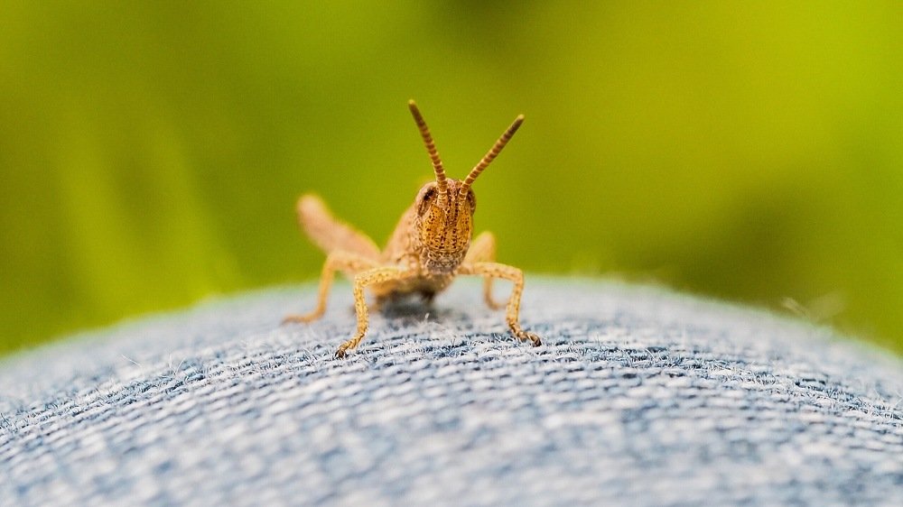 Photograph by Максим Воробьев