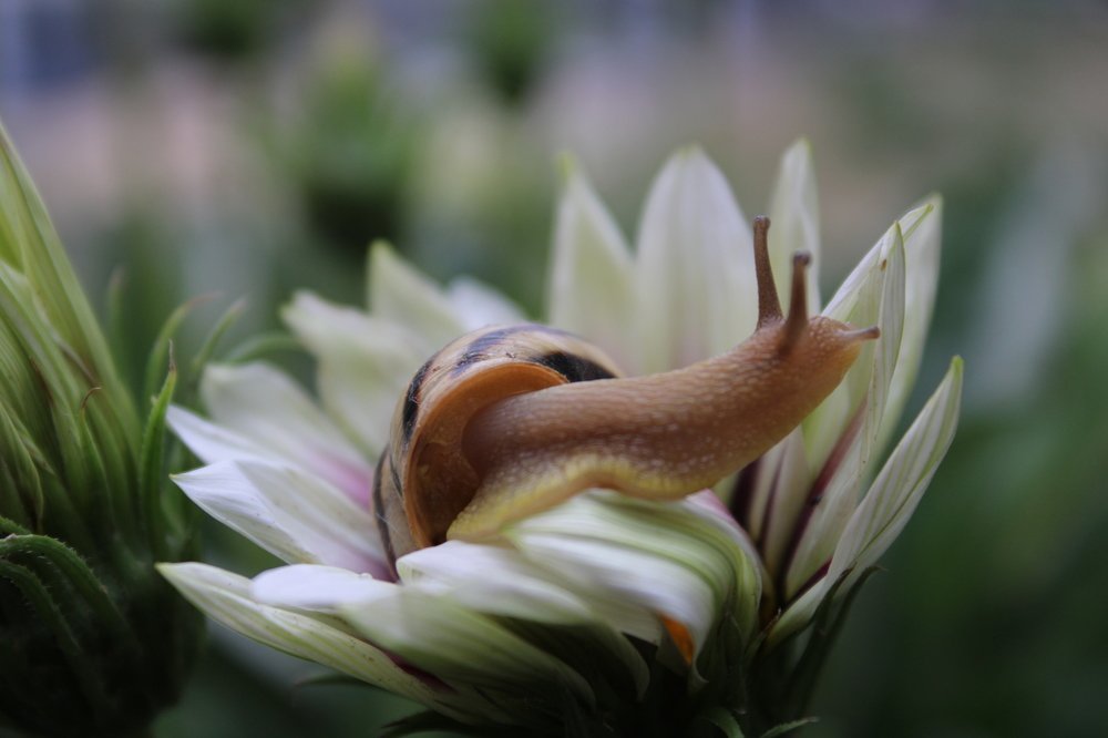 Мир под ногами