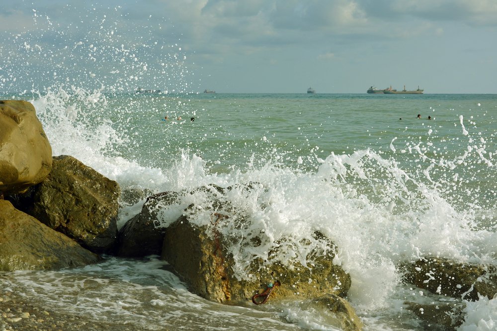 Ласки морские