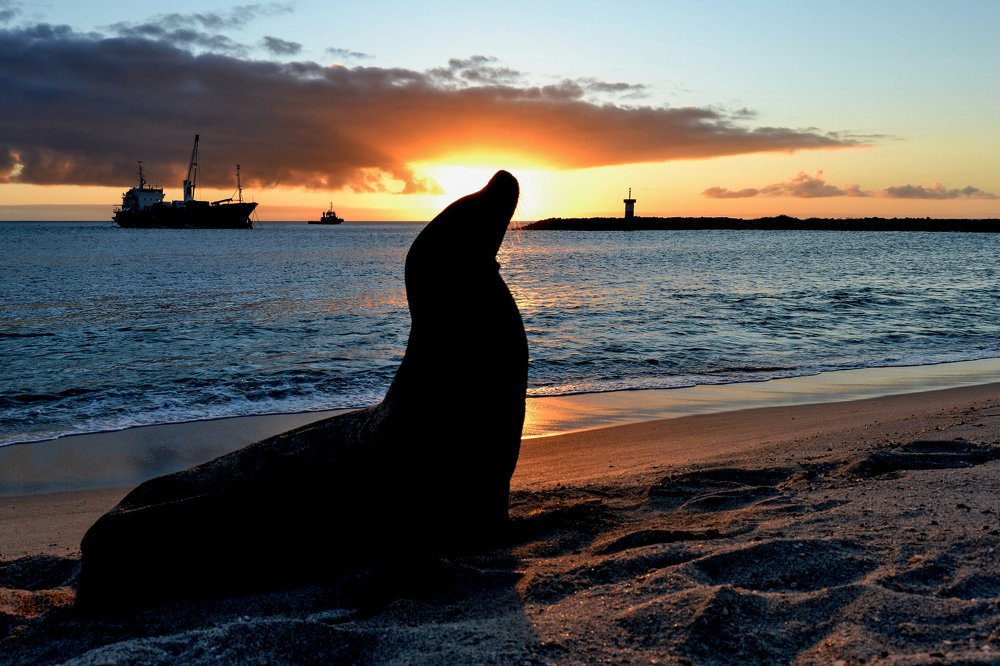 taking advantage of the last rays of sun