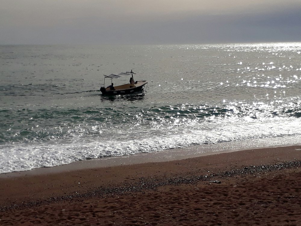 Photograph by Galina Rashap