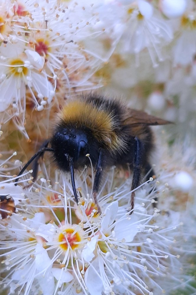 Photograph by Шепелев Дмитрий