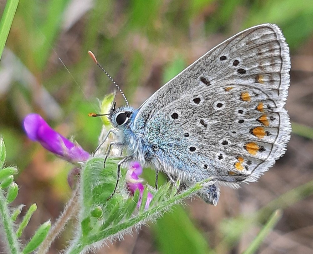 Photograph by Шепелев Дмитрий