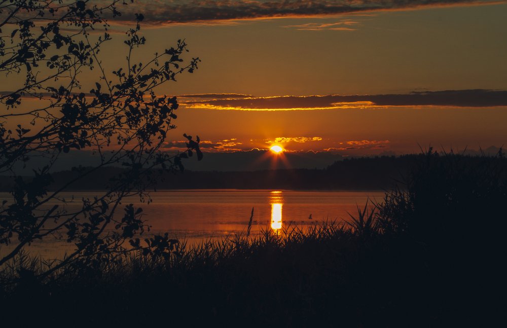 Рассвет на лесном озере