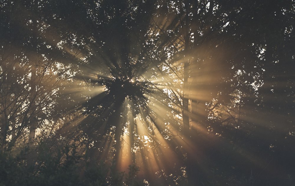 Photograph by Сергей Алексеев