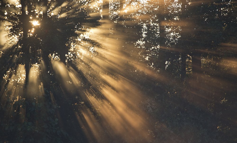 Photograph by Сергей Алексеев