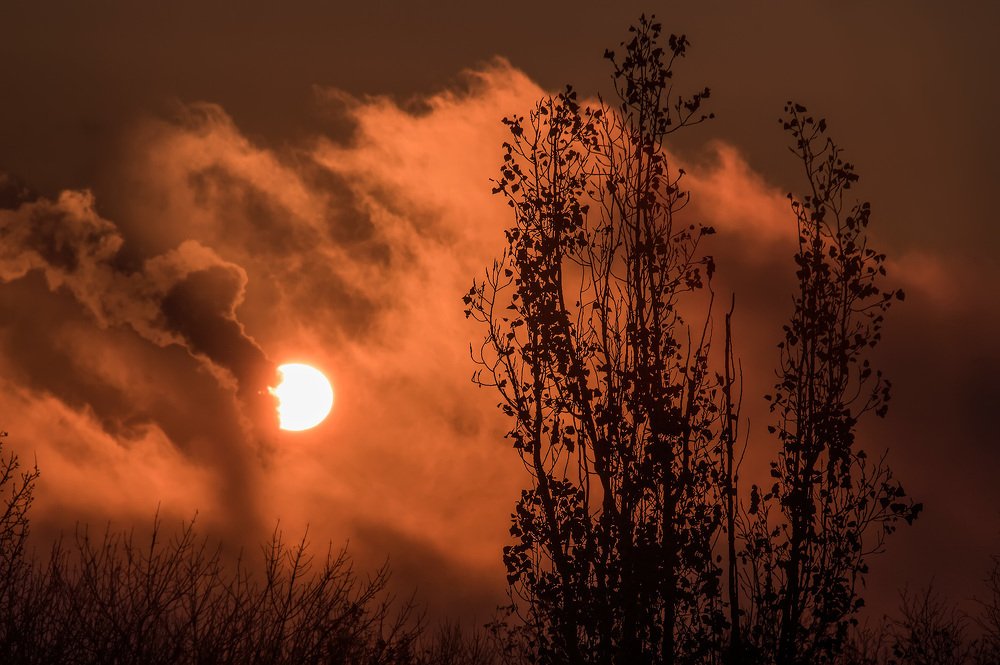 ТРЕВОЖНОЕ УТРО