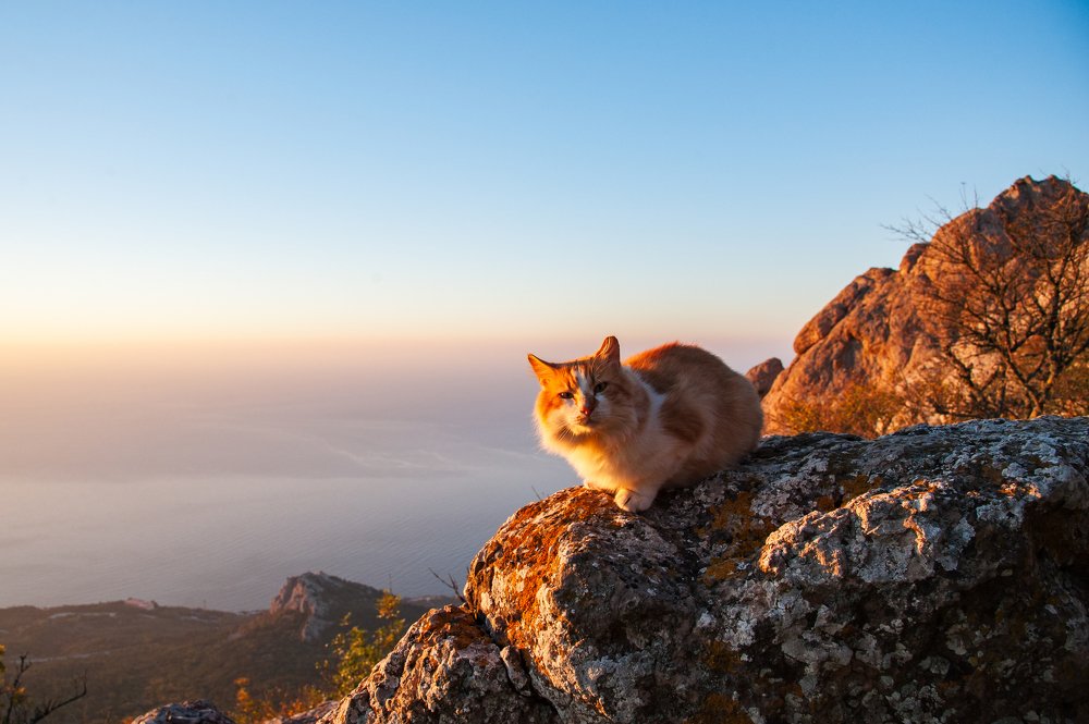 Хозяин горы