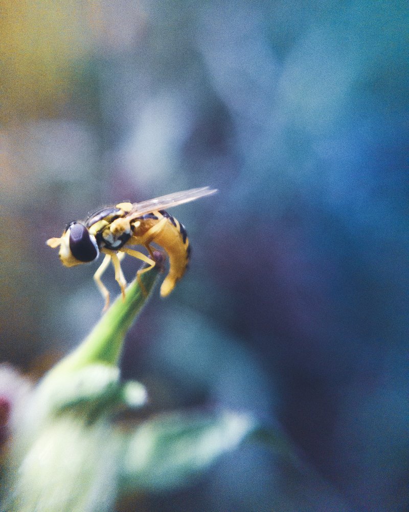 Photograph by Евгений Журихин