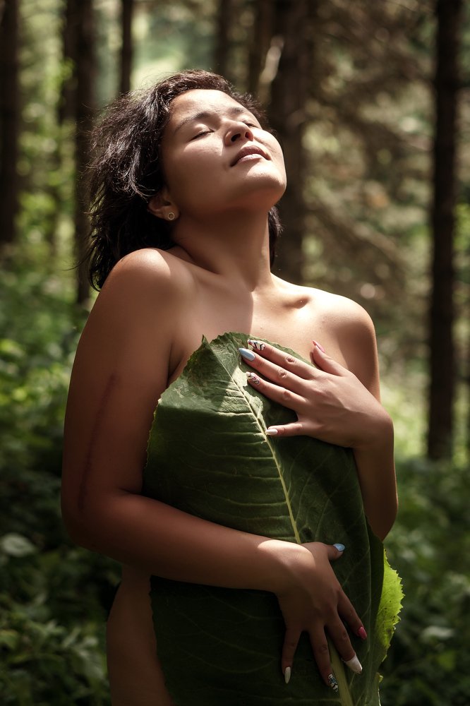 В тишине лесной