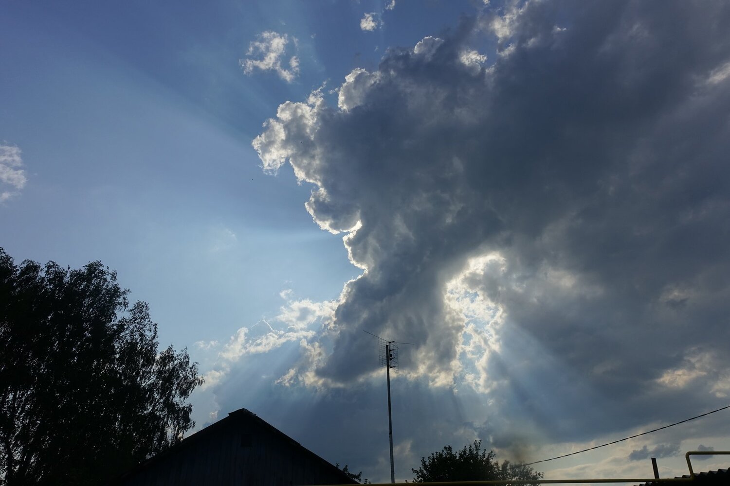 Photo #3423805