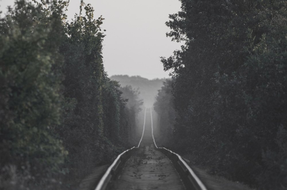 Путь в тишине