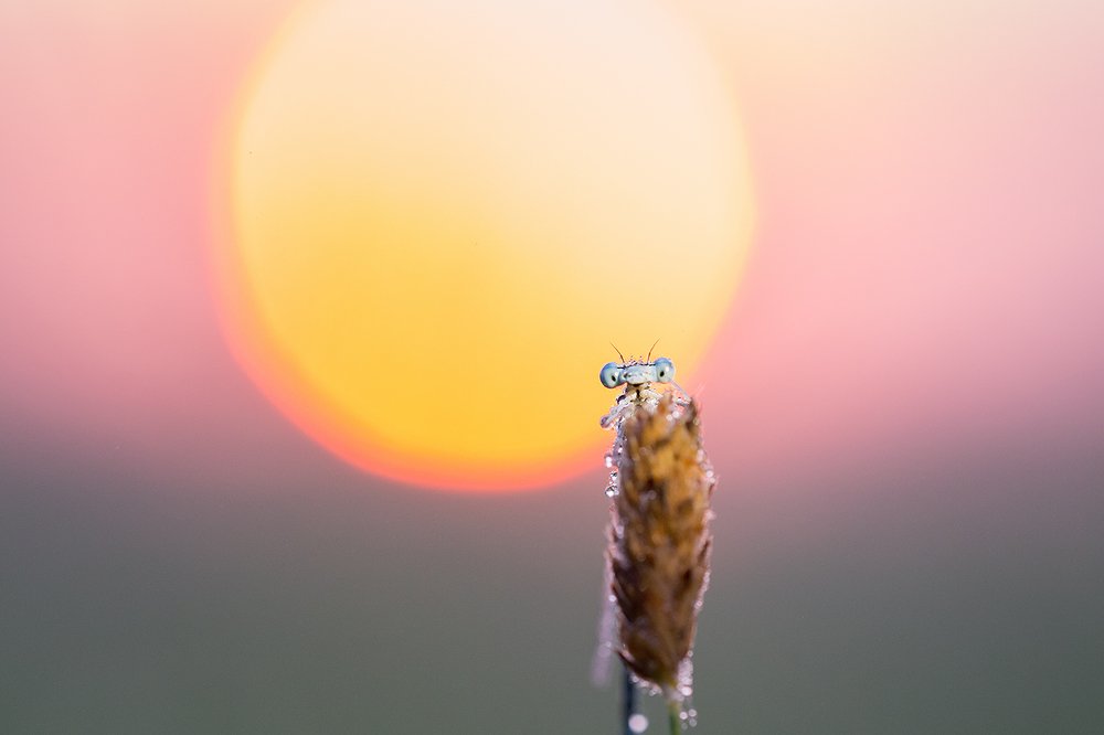 С добрым утром!