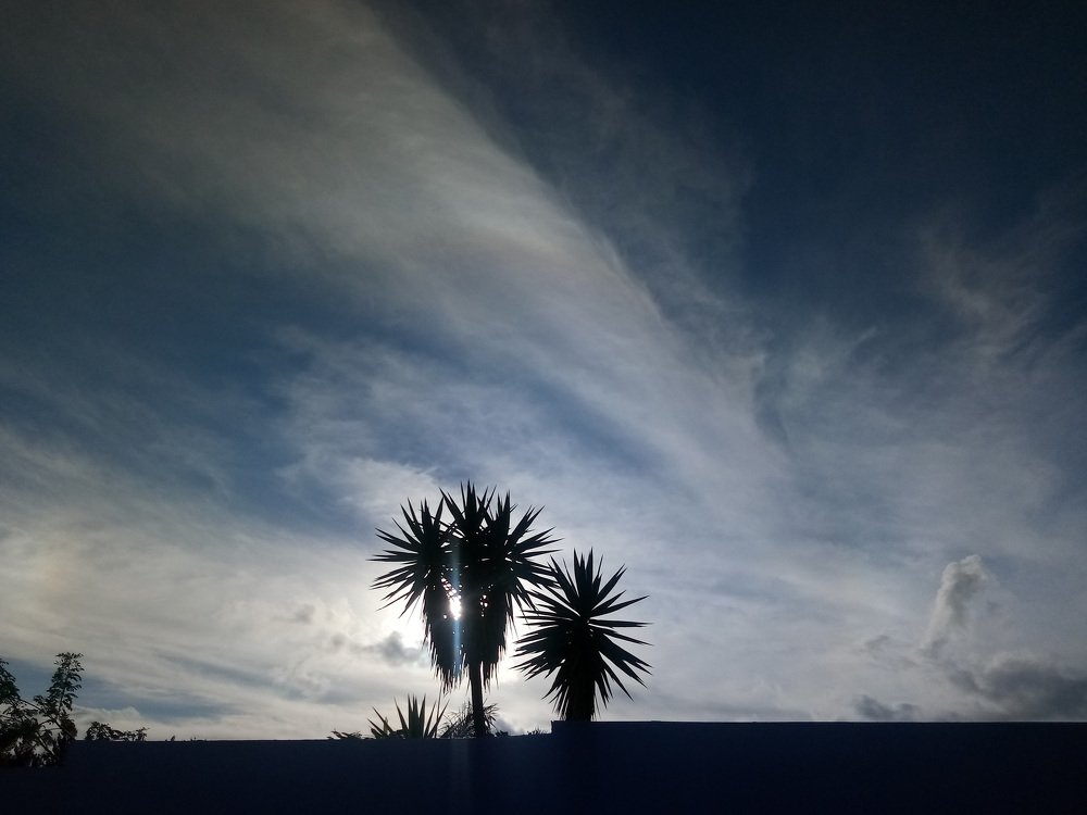 A sunset between shadows of the road