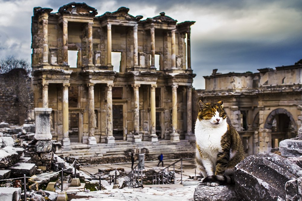 The ancient city of Ephesus