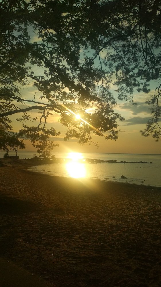 Photograph by Любовь Макарова