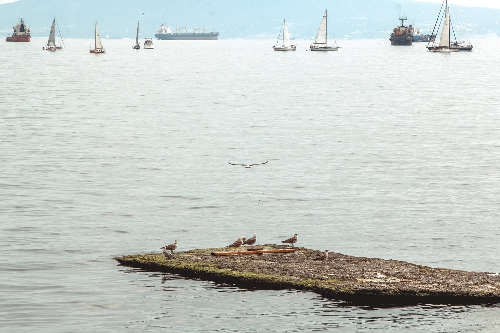 Photograph by Галина Полищук