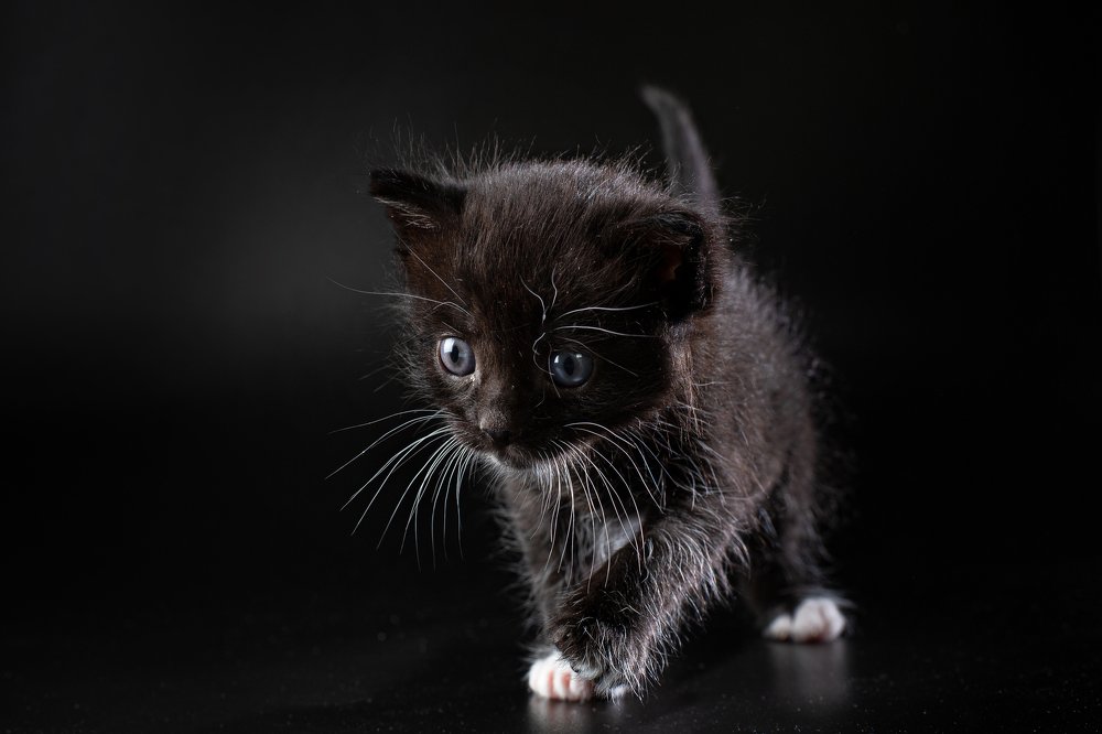 Photograph by Иван Скрыльков