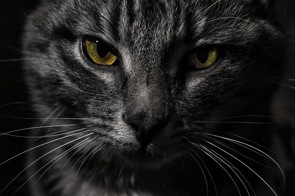 Photograph by Иван Скрыльков