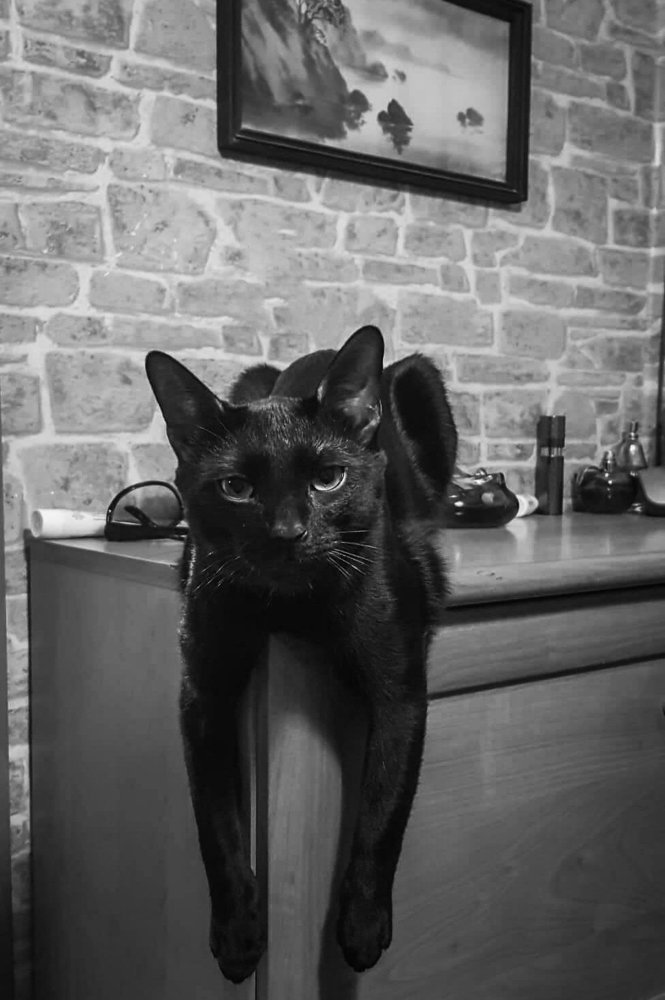 Photograph by Татьяна Чернышова