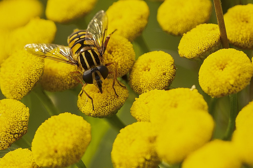 Photograph by Евгений Барзенков