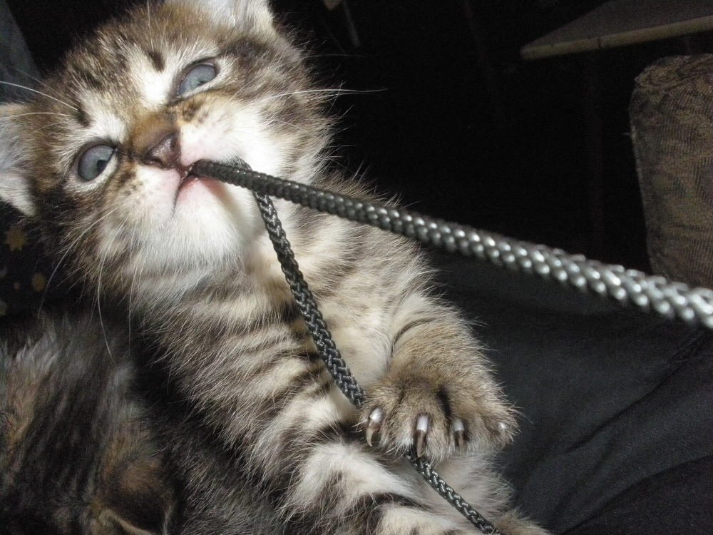 Photograph by Татьяна Маринич