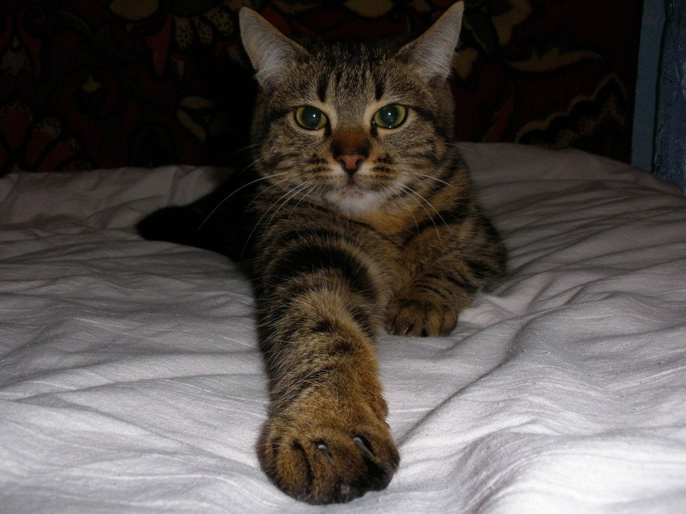 Photograph by Татьяна Маринич